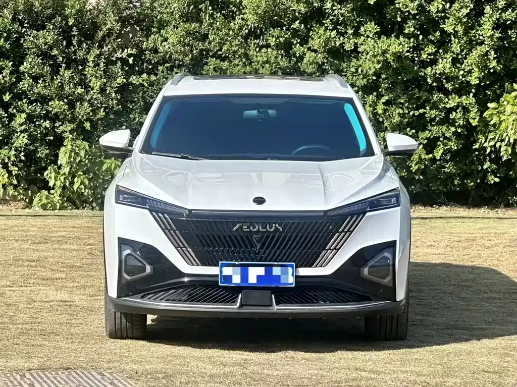 Haohan 2023 DH-i 1.5T Deluxe Edition