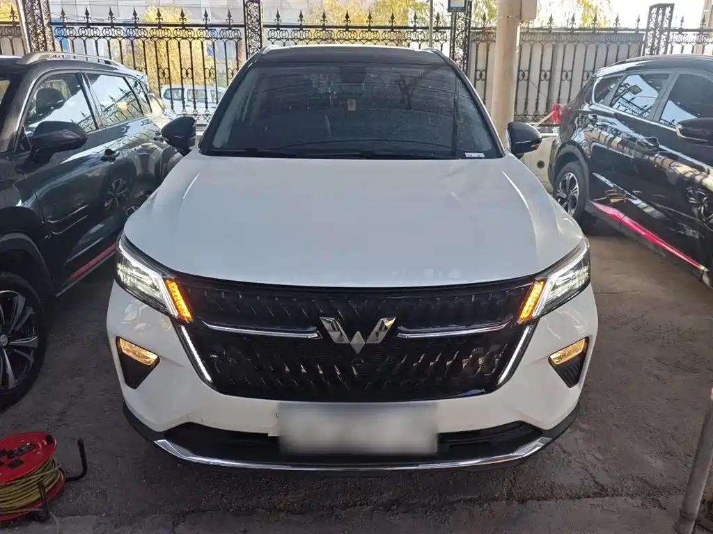 Wuling Xingchen 2022 Model 2.0L DHT Electric Speed Model