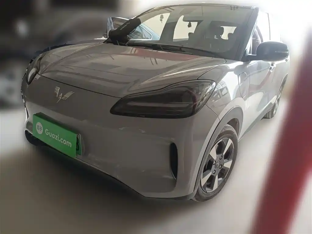 Wuling Bingguo PLUS 2024 330km five-seater version