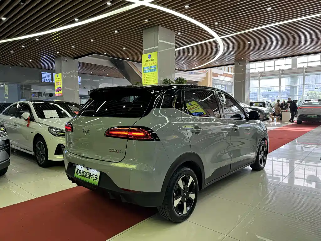 Wuling Bingguo PLUS 2024 510km Ultimate Four-seater Version