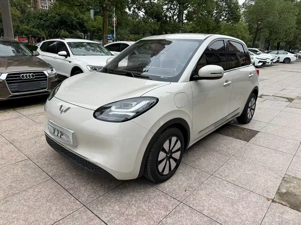 Wuling Bingguo 2025 Model 333km Yuexiang Model