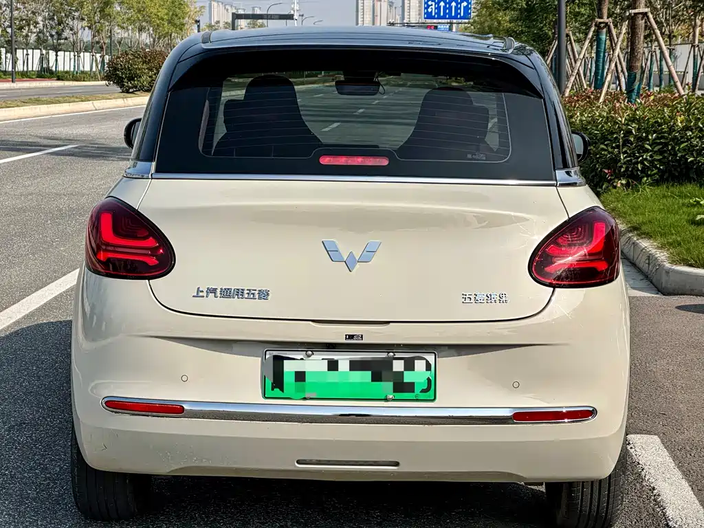 Wuling Bingguo 2023 Model 410km Lingyu Exclusive Model