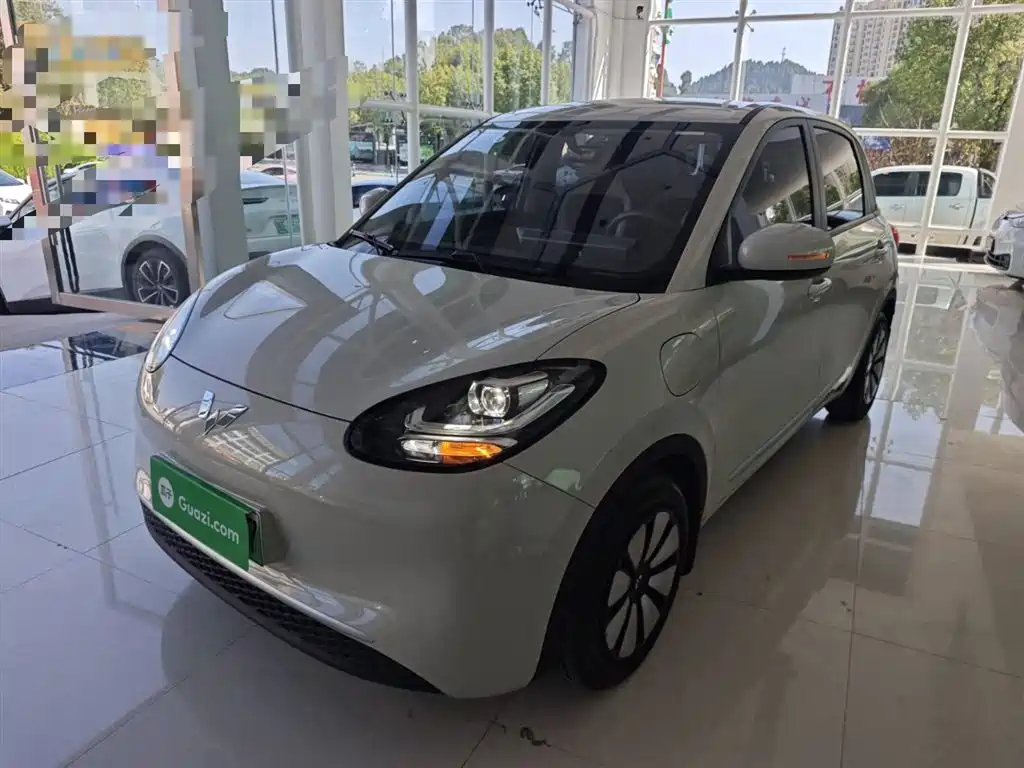 Wuling Bingguo 2023 model 333km Quick Enjoy Model
