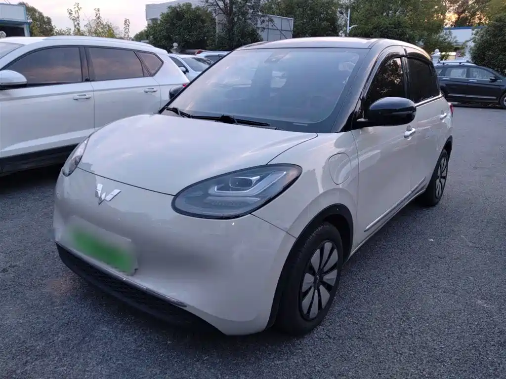 Wuling Bingguo 2023 Model 333km Consonant Interconnection+ Model