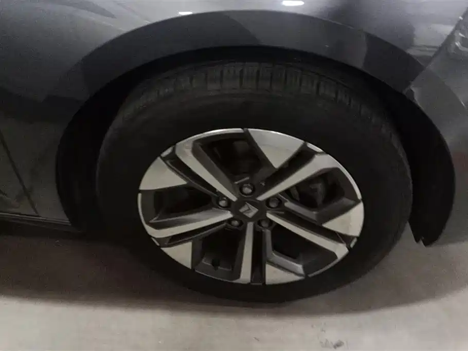 Baojun Valli 2021 1.5T Dali Sky CVT Exclusive Type