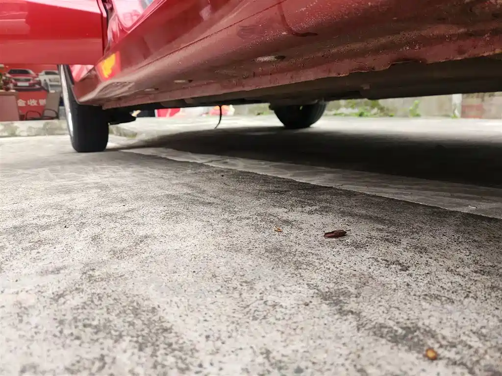 Фото машины 8