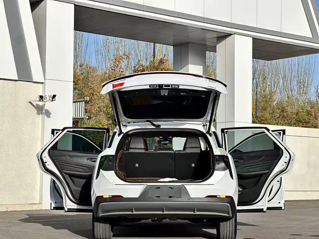 Qichen Big V 2022 260T Dark Horse Version*King