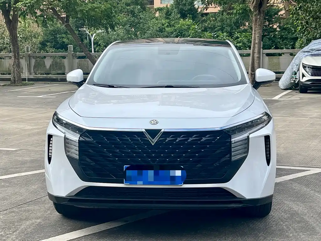 Qichen Big V 2022 260T Dark Horse Version*Aidou