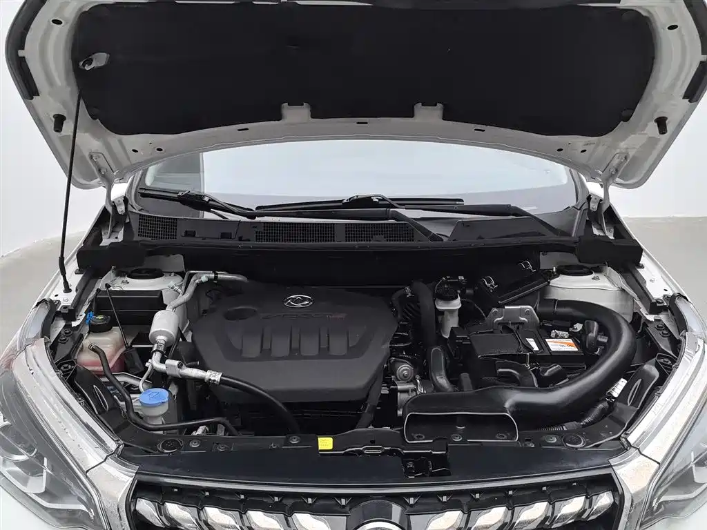 Qichen T70 2019 1.4T Manual Ruixiang Edition