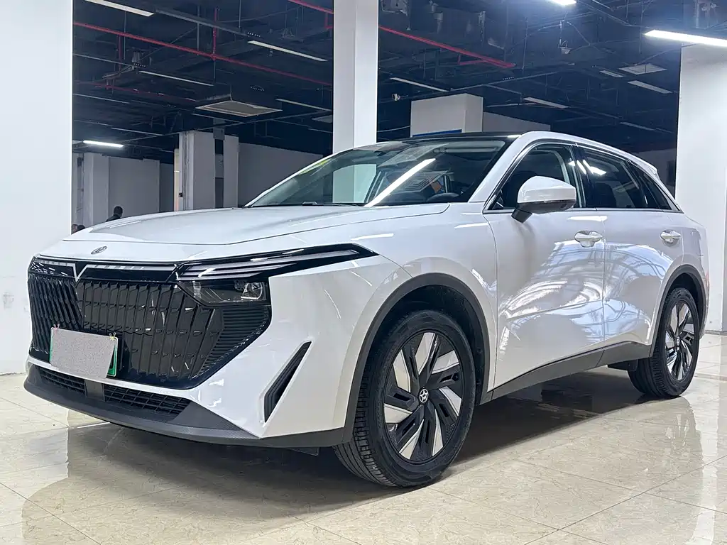 Qichen Big V 2024 260T Aidou Yuexing Edition Pro