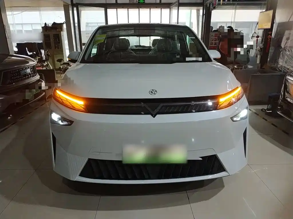 Qichen VX6 2024 Model 520 Travel Edition