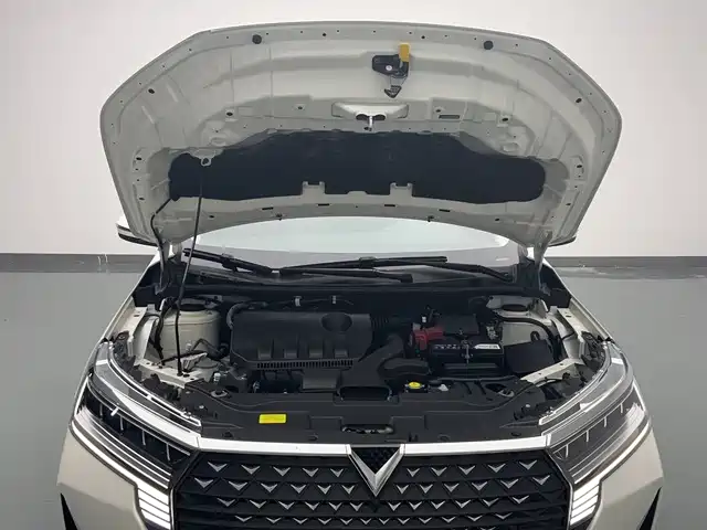 Qichen D60 2021 PLUS 1.6L XL CVT Yue Ling Edition