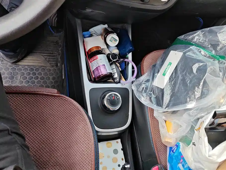 Qichen e30 2020 Jingrui Edition