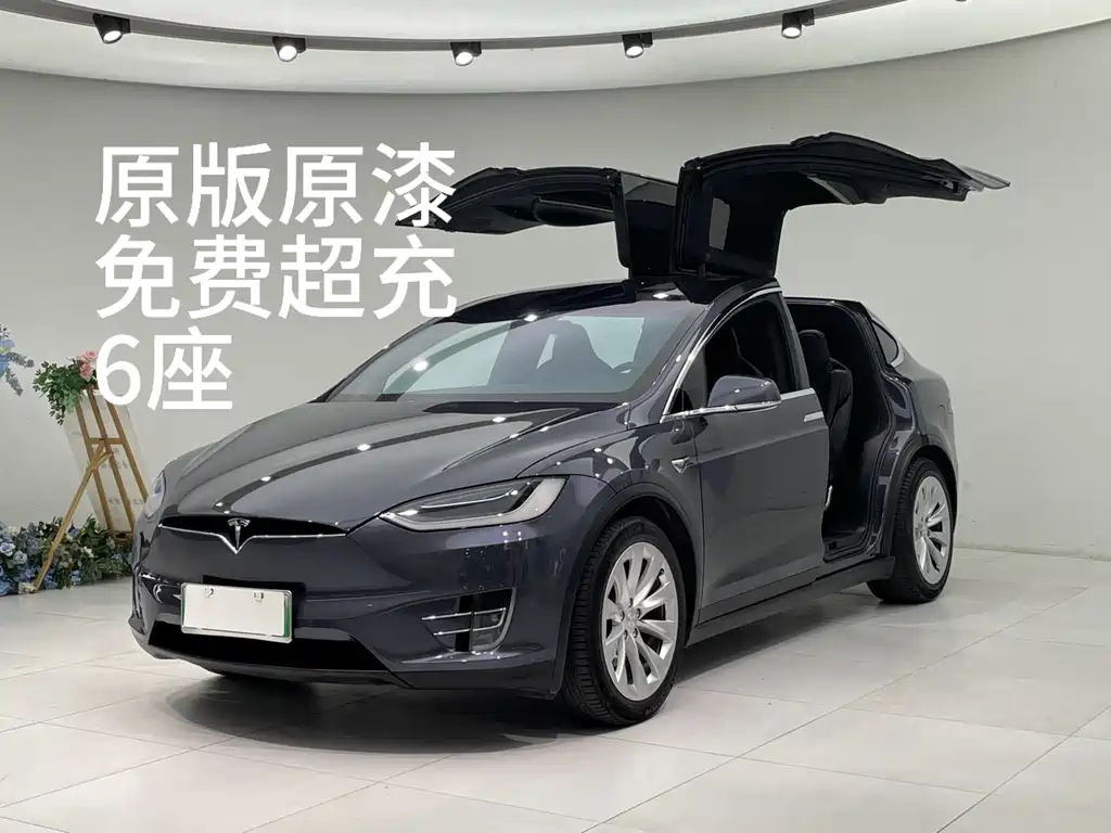 Model X 2019 Long battery Life Version
