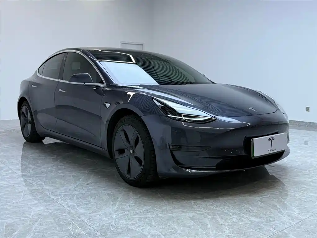 Model 3 (imported) 2019 long battery life rear drive version
