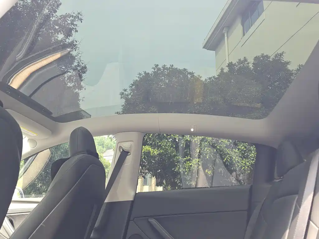 Model Y 2021 long battery life all-wheel drive version