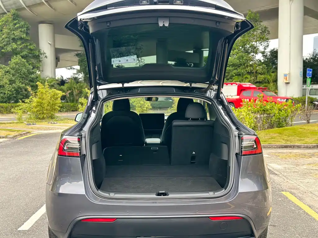 Model Y 2021 long battery life all-wheel drive version