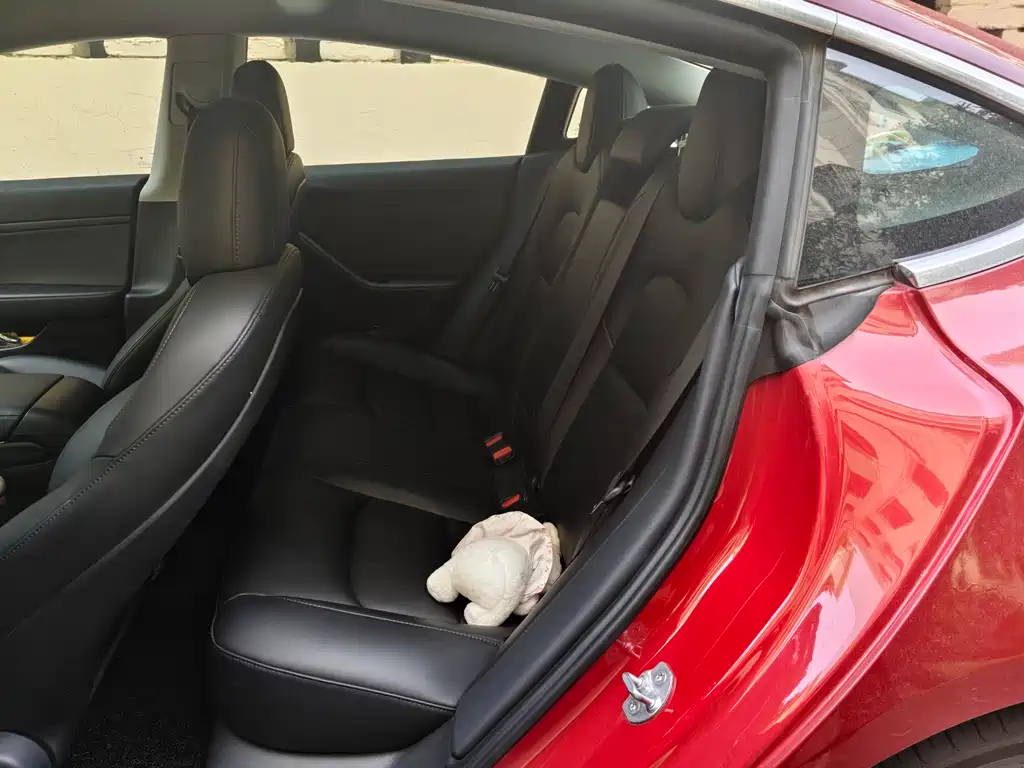 Model 3 2020 standard battery life rear drive upgraded version