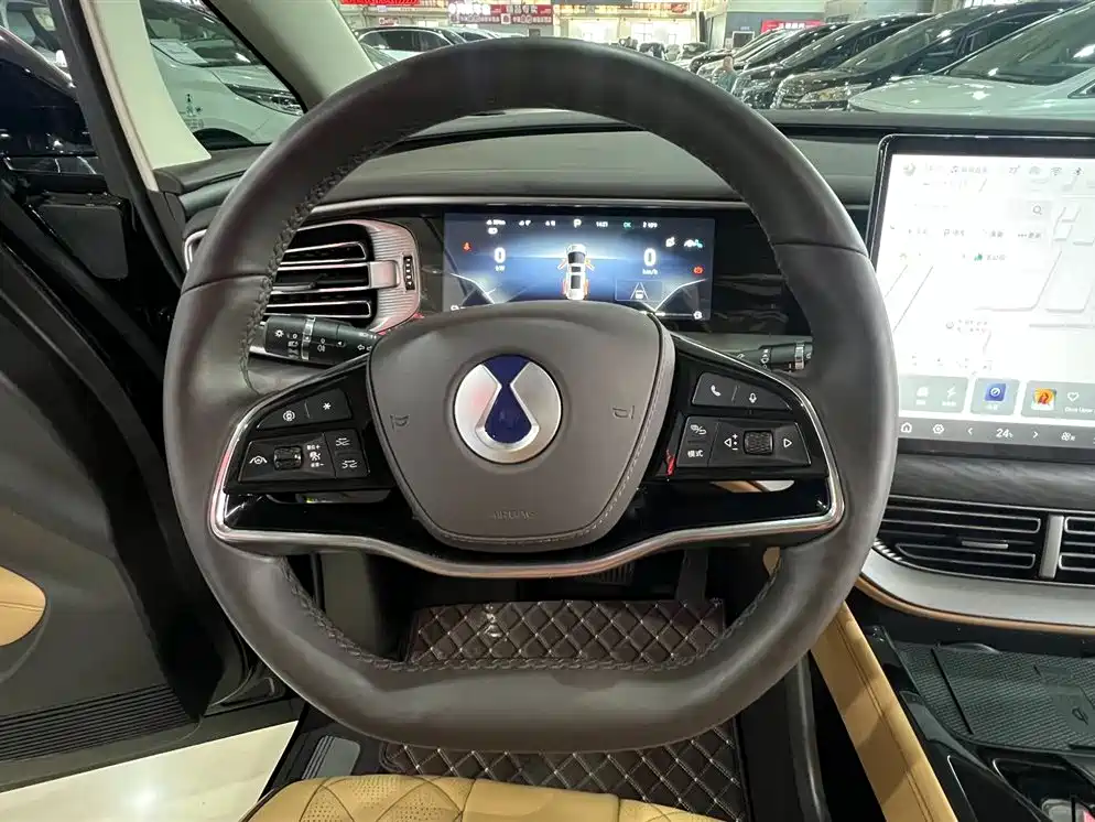 Denza D9 2024 DM-i 1050 Exclusive Type