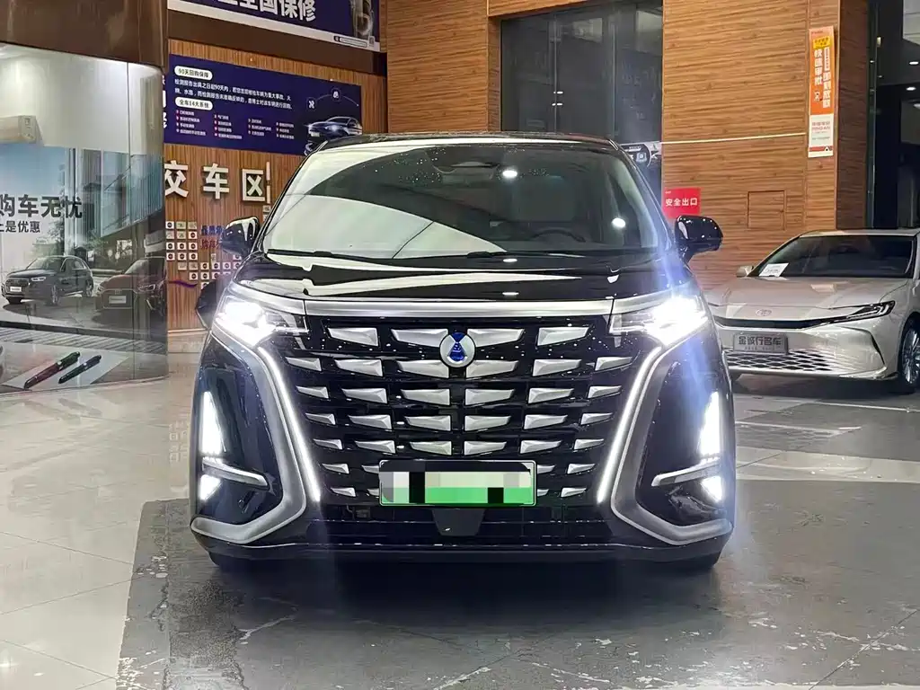 Denza D9 2024 DM-i 1050 Exclusive Type