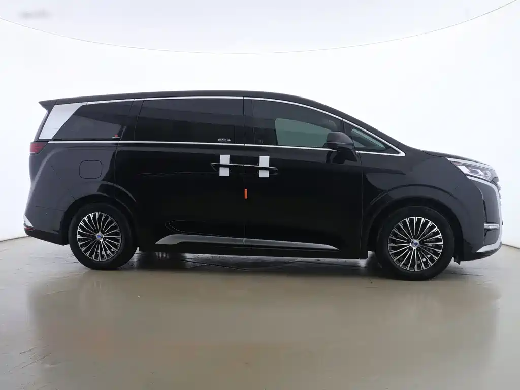 Denza D9 2024 DM-i 1050 Exclusive Type