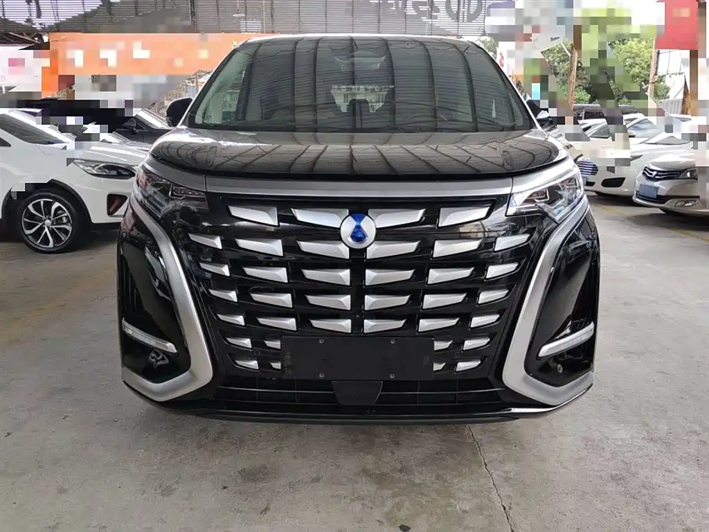 Denza D9 2024 DM-i 980 four-wheel drive premium type