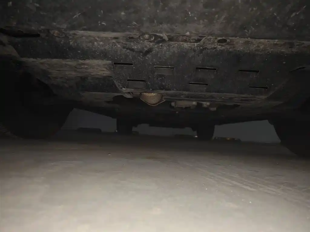 Фото машины 24