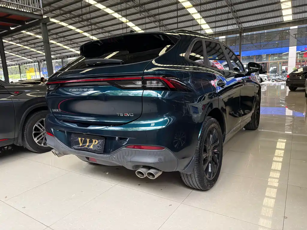 Popular T5 EVO 2021 1.5 TD DCT Platinum Edition