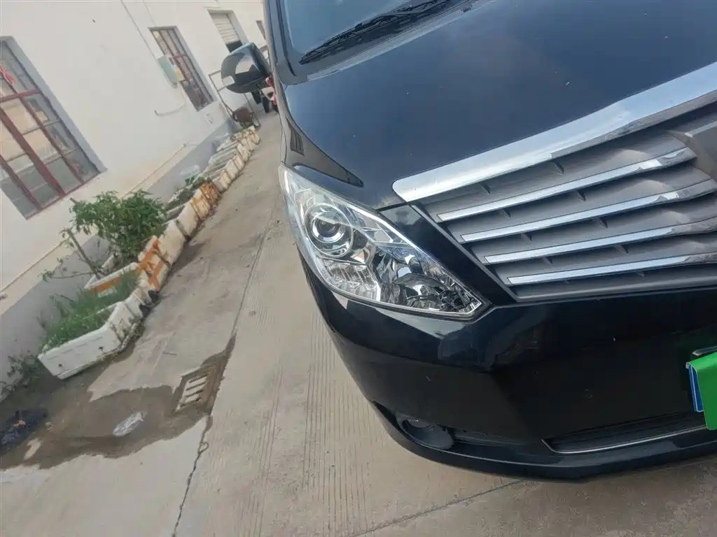 Lingzhi PLUS 2021 2.0L manual Luxury 7-seater