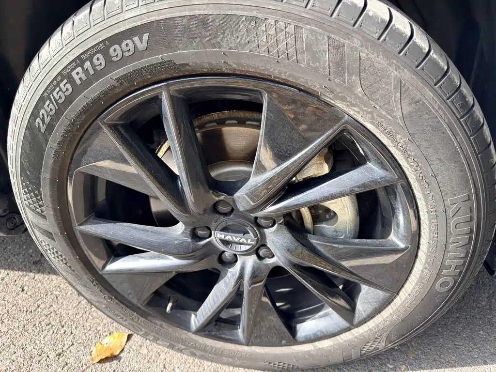 Haval H6 2024 1.5T two-wheel drive Pro