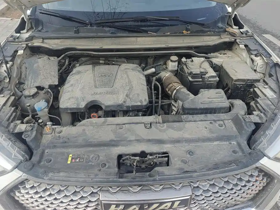 Haval First Love 2021 1.5T Automatic Senior Fourth Edition