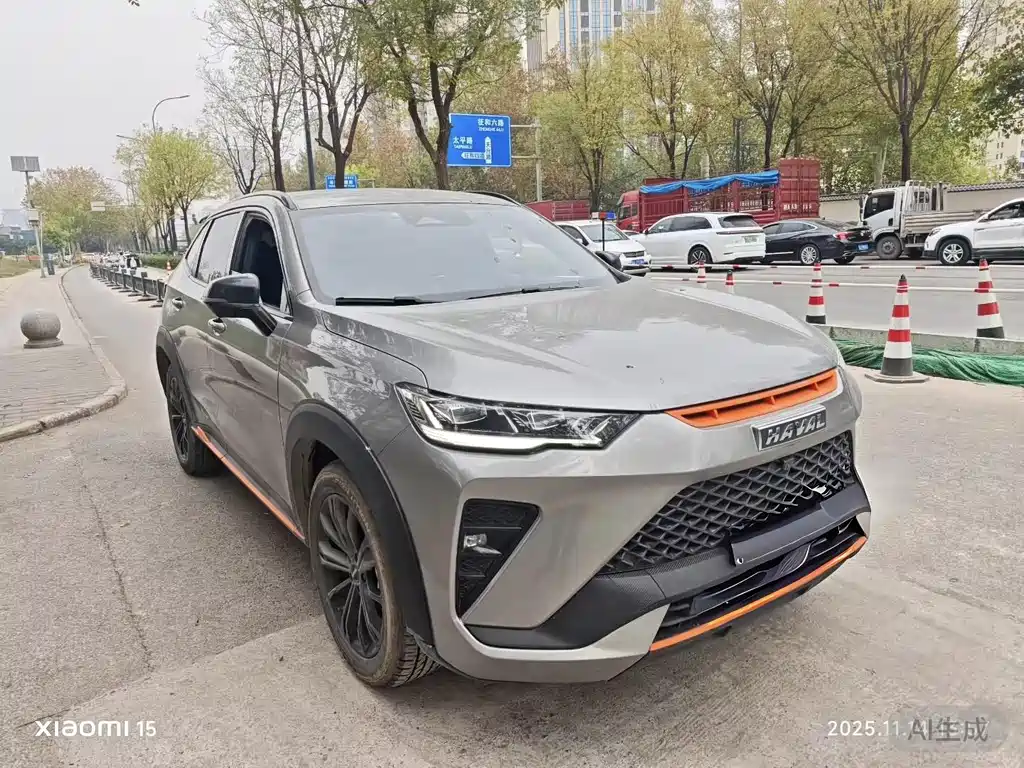 Haval H6S 2022 2.0T two-wheel drive smart running version