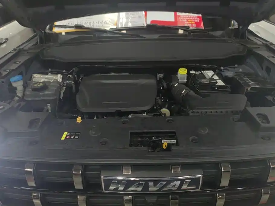 Haval Cool Dog 2022 1.5T DCT two-wheel drive trendy Version