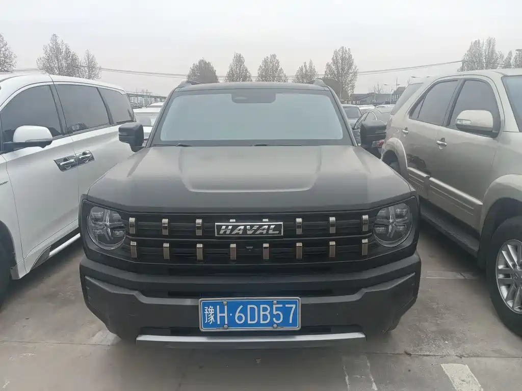 Haval Cool Dog 2022 1.5T DCT two-wheel drive trendy Version
