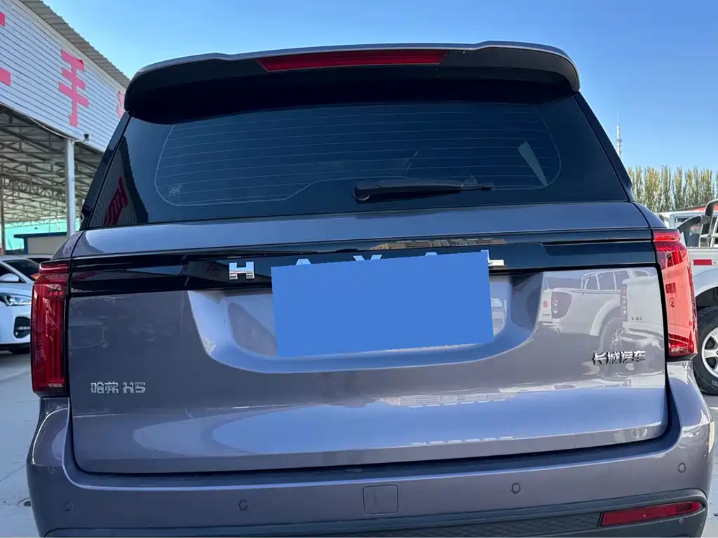 Haval H5 2023 2.0T automatic two-wheel drive LinkedIn gasoline