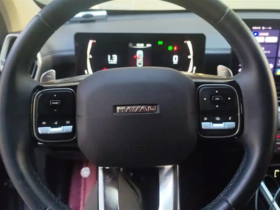 Haval H5 2023 2.0T automatic four-wheel drive Linkedin gasoline