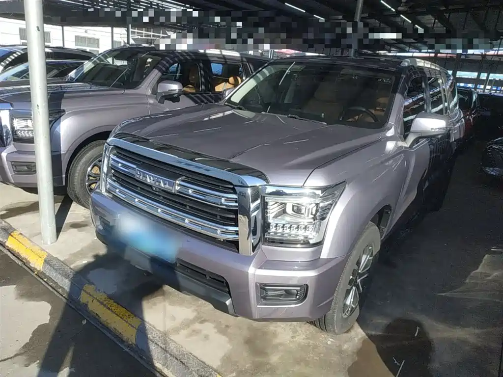 Haval H5 2023 2.0T automatic four-wheel drive Linkedin gasoline