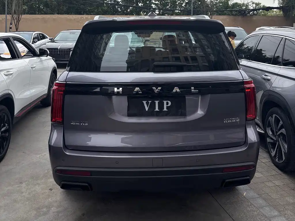 Haval H5 2023 2.0T automatic two-wheel drive LinkedIn gasoline