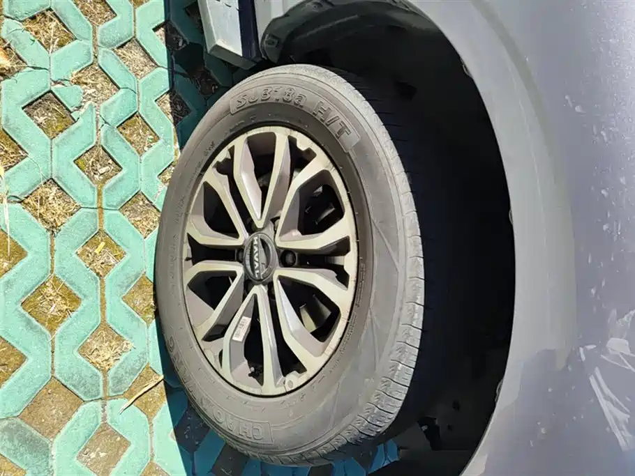 Haval H5 2023 2.0T automatic two-wheel drive LinkedIn gasoline