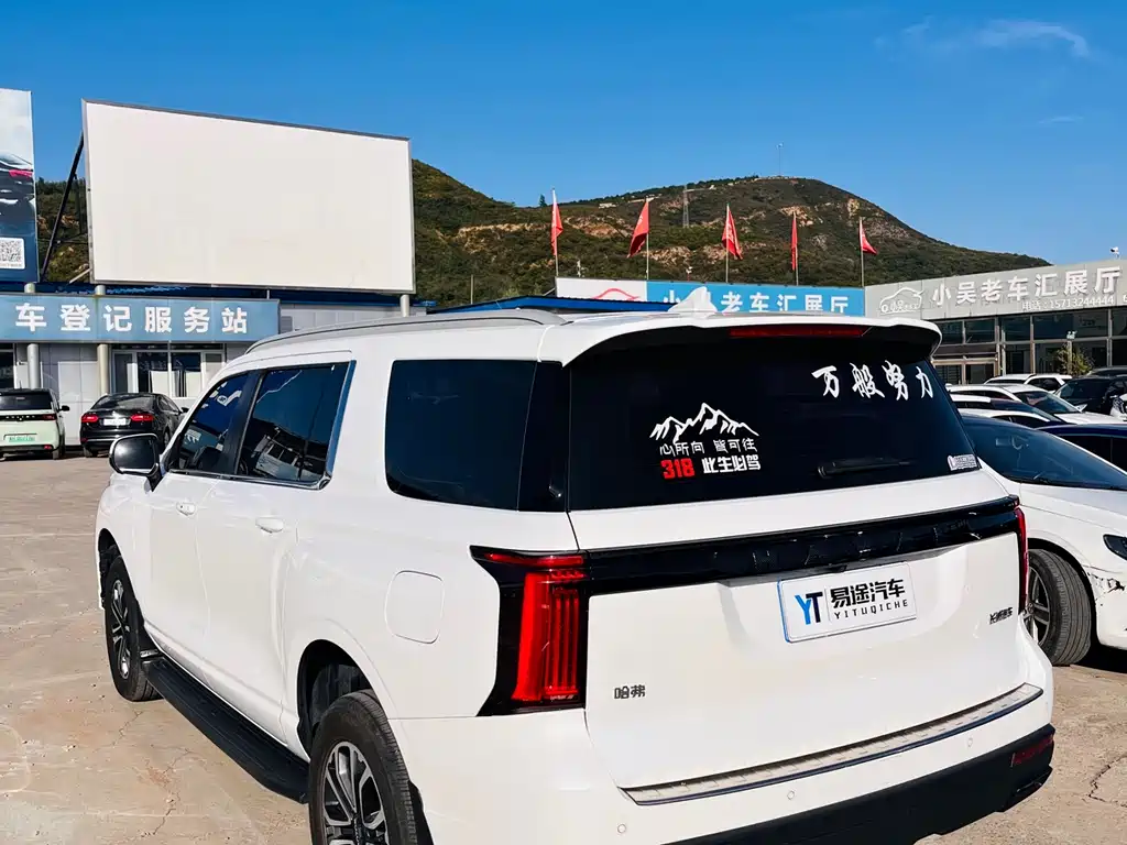 Haval H5 2023 2.0T automatic two-wheel drive LinkedIn gasoline