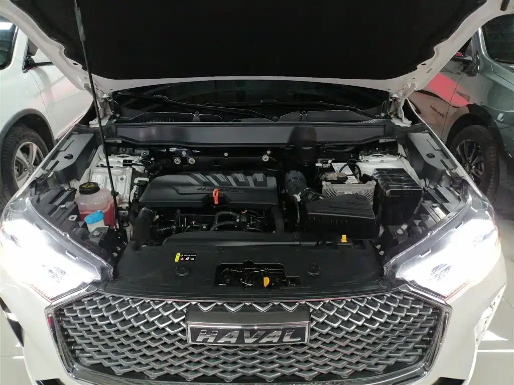 Haval H6 2021 third-generation 1.5T automatic two-wheel drive Max