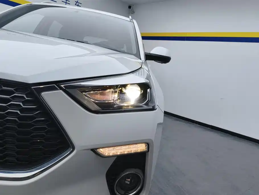 Haval H6 Coupe 2019 1.5T automatic two-wheel drive luxury Smart Union edition Country VI