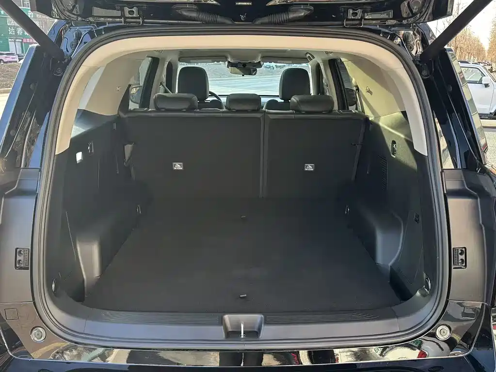 Haval H5 2025 2.0T automatic four-wheel drive pilot diesel