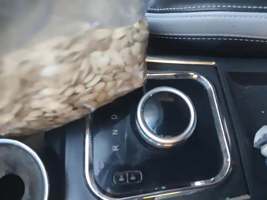 Фото машины 8