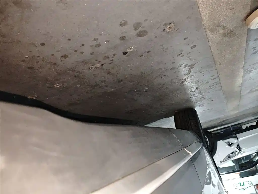 Фото машины 13