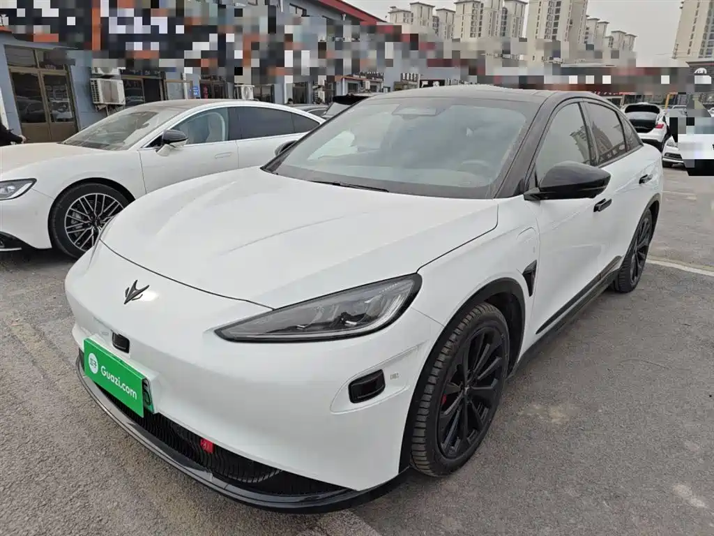 Polar Fox Alpha S 2023 First Edition