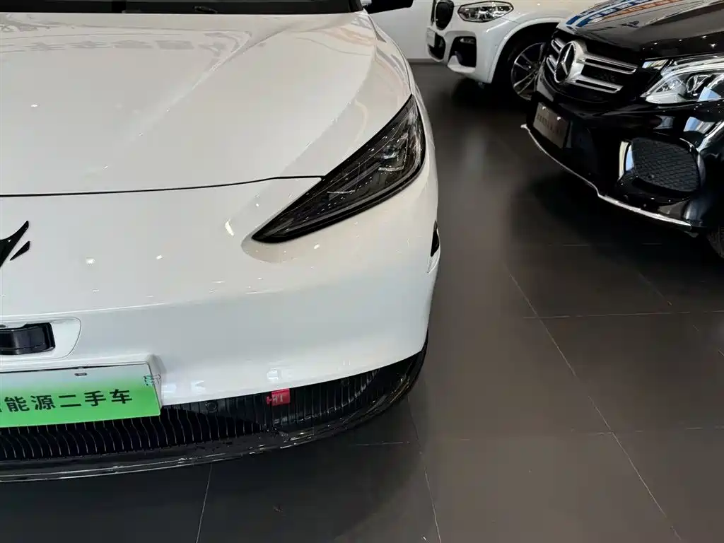 Polar Fox Alpha S 2022 HI Version Premium Version