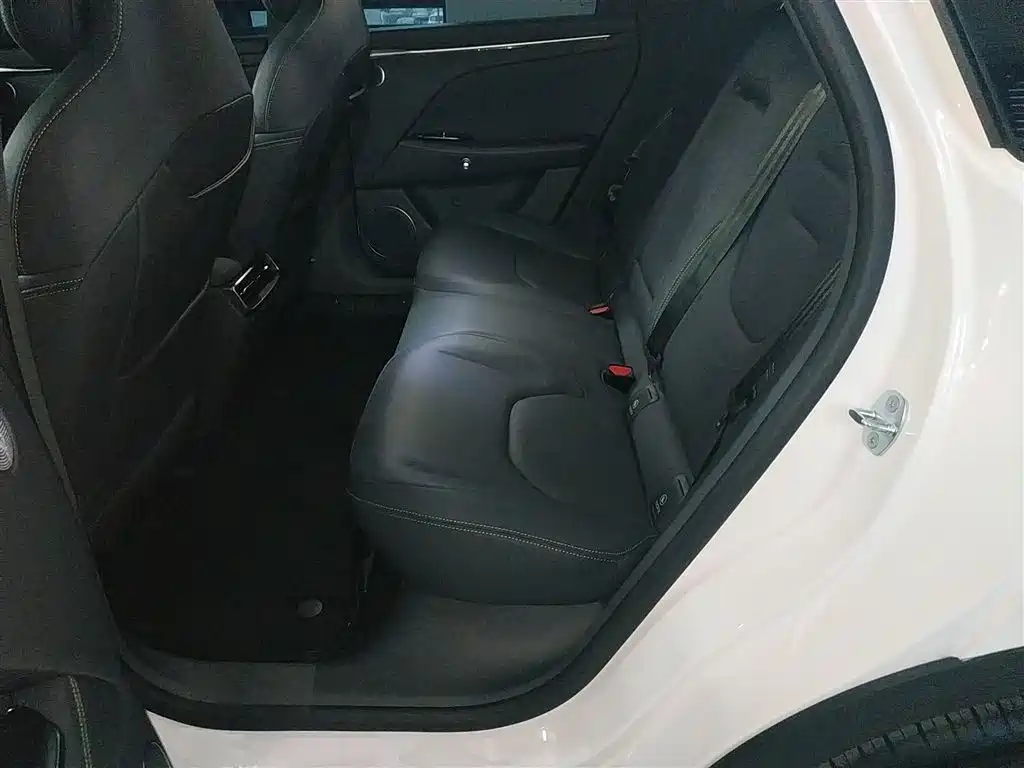 Polar Fox Alpha T5 2025 Model 520 PRO