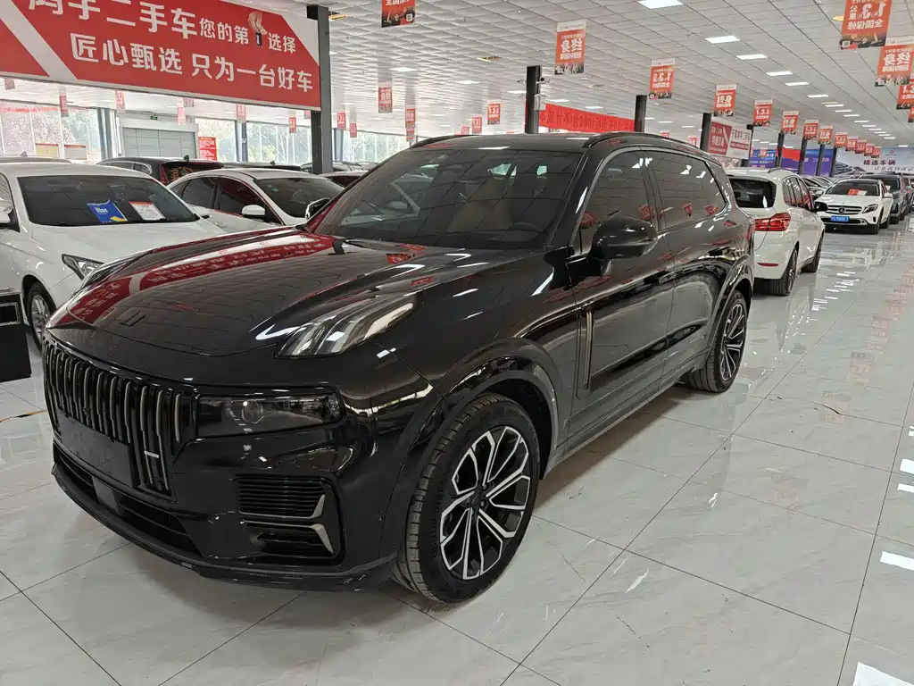 Lynk & Co. 09 EM-P 2024 2.0 TD EM-P four-wheel drive PRO seven-seater