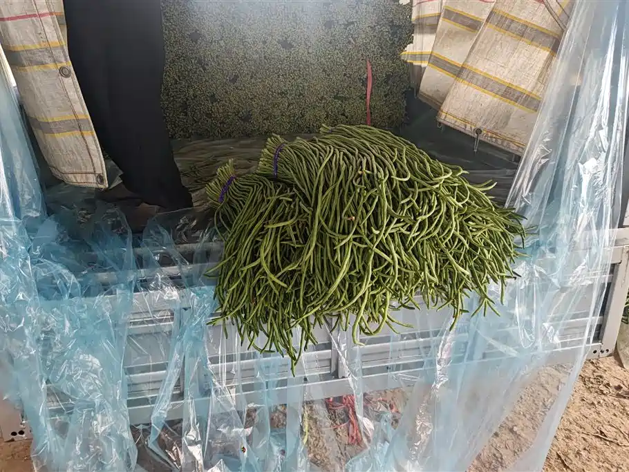 Changan Shenqi T30EV 2024 3.8-meter cargo box truck comfortable type